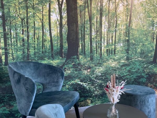 Tapetendruck – Mölders Baucentrum GmbH